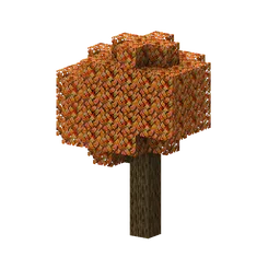 Maple Tree